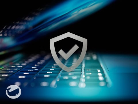 Website Security: Protecting Your Online Assets